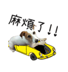 Little Prince POLY Dog（個別スタンプ：15）