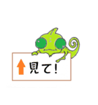かめれよん（個別スタンプ：9）