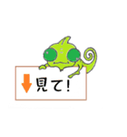 かめれよん（個別スタンプ：10）
