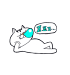 どらねこタマオ（個別スタンプ：5）