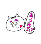 どらねこタマオ（個別スタンプ：8）