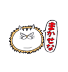 どらねこタマオ（個別スタンプ：13）