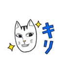 どらねこタマオ（個別スタンプ：16）