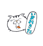 どらねこタマオ（個別スタンプ：19）