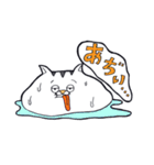 どらねこタマオ（個別スタンプ：26）