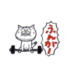 どらねこタマオ（個別スタンプ：33）