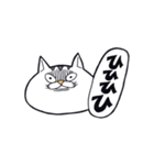 どらねこタマオ（個別スタンプ：39）