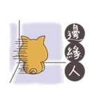Sihba Inu and chicken（個別スタンプ：12）