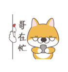 Sihba Inu and chicken（個別スタンプ：31）