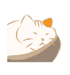 猫吉（個別スタンプ：3）