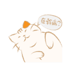 猫吉（個別スタンプ：5）