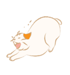 猫吉（個別スタンプ：6）