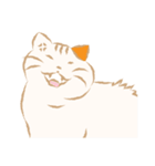 猫吉（個別スタンプ：27）