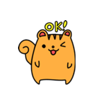 毎日リス（個別スタンプ：1）