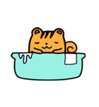 毎日リス（個別スタンプ：11）