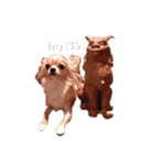 チワワのエル＆うさぎのハッピー①（個別スタンプ：4）