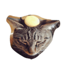 にしだて家のねこ（個別スタンプ：6）