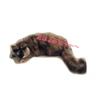 ねこたちその2（個別スタンプ：2）
