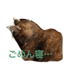 ねこたちその2（個別スタンプ：3）