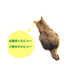 ねこたちその2（個別スタンプ：7）