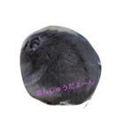 ハムスターのギータくん（個別スタンプ：8）