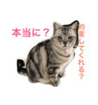 ねこの日常2（個別スタンプ：4）