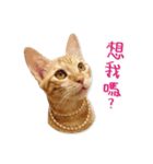 Jiu.Niu.life（個別スタンプ：1）
