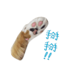 Jiu.Niu.life（個別スタンプ：2）