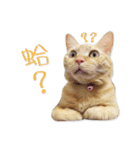 Jiu.Niu.life（個別スタンプ：3）