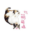 Jiu.Niu.life（個別スタンプ：4）