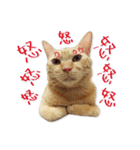 Jiu.Niu.life（個別スタンプ：5）