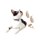 Jiu.Niu.life（個別スタンプ：6）