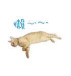 Jiu.Niu.life（個別スタンプ：7）
