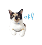 Jiu.Niu.life（個別スタンプ：8）