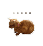 Jiu.Niu.life（個別スタンプ：9）