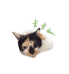 Jiu.Niu.life（個別スタンプ：10）