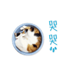Jiu.Niu.life（個別スタンプ：16）