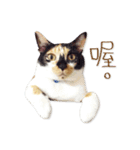 Jiu.Niu.life（個別スタンプ：18）