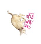 Jiu.Niu.life（個別スタンプ：19）