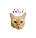 Jiu.Niu.life（個別スタンプ：21）