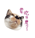 Jiu.Niu.life（個別スタンプ：22）