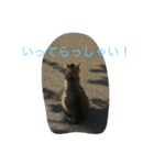 猫やぎさん日常（個別スタンプ：3）
