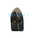 猫やぎさん日常（個別スタンプ：4）