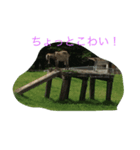 猫やぎさん日常（個別スタンプ：8）