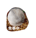 我が家のチュウさん（個別スタンプ：5）