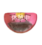我が家のチュウさん（個別スタンプ：7）