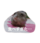 我が家のチュウさん（個別スタンプ：10）
