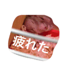 我が家のチュウさん（個別スタンプ：13）