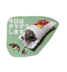 我が家のチュウさん（個別スタンプ：14）