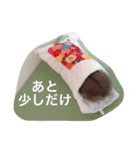 我が家のチュウさん（個別スタンプ：15）